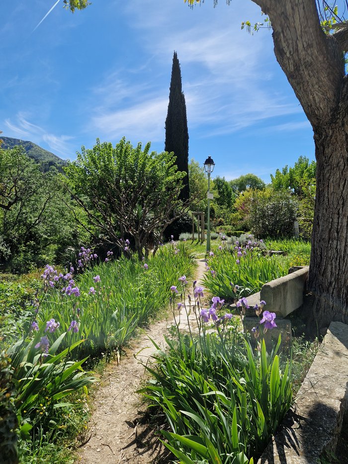 Le jardin des arômes de Nyons, oliveraies et plantes aromatiques